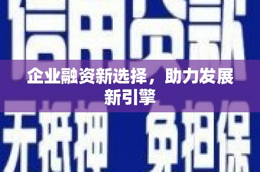 米林企业融资新选择，助力发展新引擎