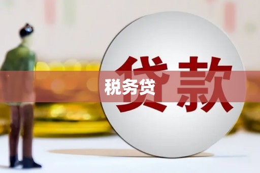 米林税务贷