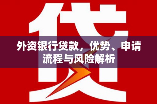 米林外资银行贷款，优势、申请流程与风险解析
