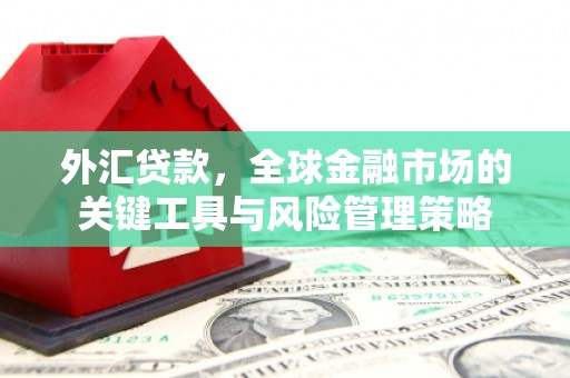 米林外汇贷款，全球金融市场的关键工具与风险管理策略