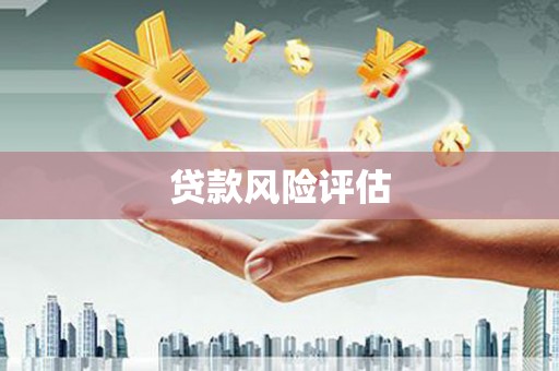 米林贷款风险评估