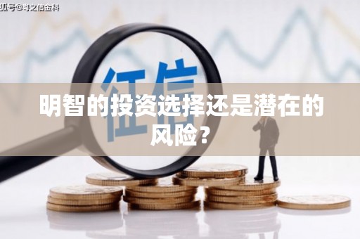 米林明智的投资选择还是潜在的风险？