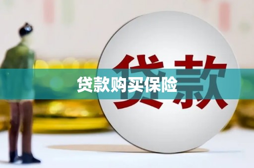 米林贷款购买保险