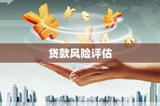 米林贷款风险评估