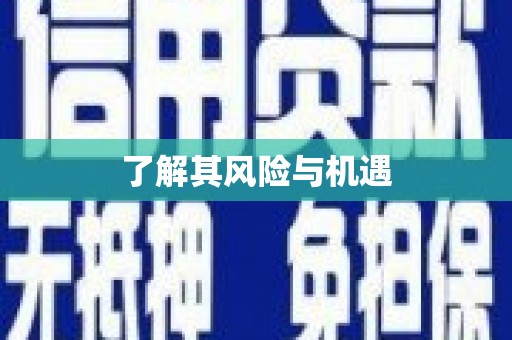米林了解其风险与机遇