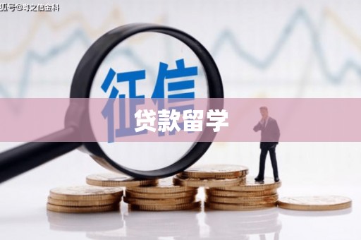 米林贷款留学