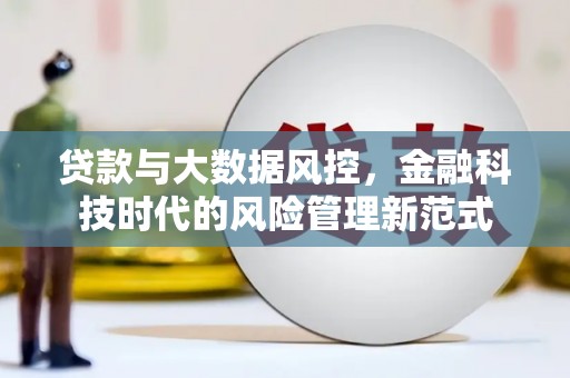 米林贷款与大数据风控，金融科技时代的风险管理新范式