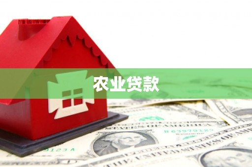 米林农业贷款