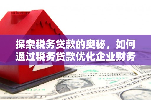 米林探索税务贷款的奥秘，如何通过税务贷款优化企业财务