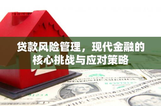 米林贷款风险管理，现代金融的核心挑战与应对策略