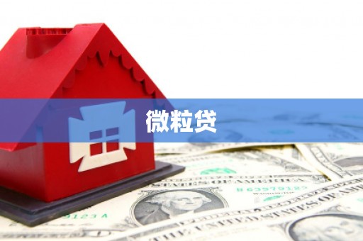 米林微粒贷