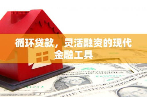 米林循环贷款，灵活融资的现代金融工具