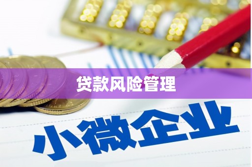 米林贷款风险管理
