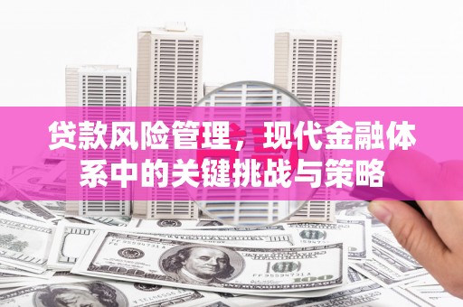 米林贷款风险管理，现代金融体系中的关键挑战与策略