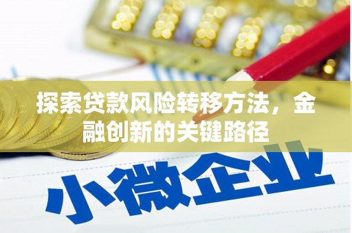 米林探索贷款风险转移方法，金融创新的关键路径