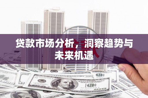 米林贷款市场分析，洞察趋势与未来机遇