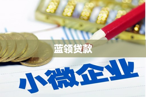 米林蓝领贷款