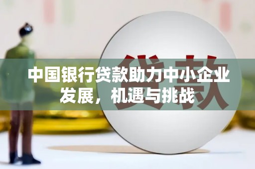 米林中国银行贷款助力中小企业发展，机遇与挑战