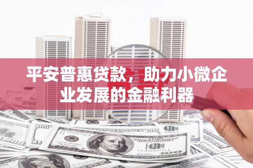 米林平安普惠贷款，助力小微企业发展的金融利器