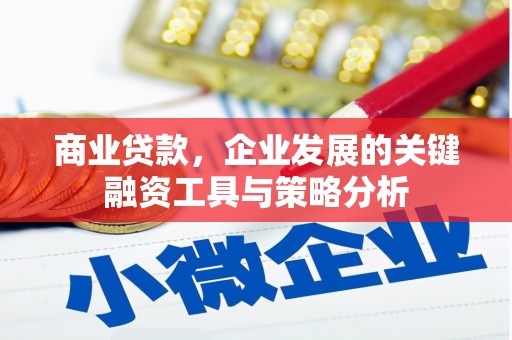 米林商业贷款，企业发展的关键融资工具与策略分析