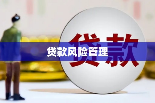 米林贷款风险管理