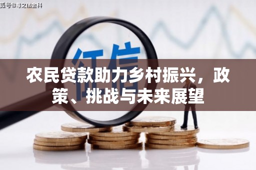 米林农民贷款助力乡村振兴，政策、挑战与未来展望