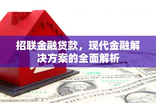 米林招联金融贷款，现代金融解决方案的全面解析