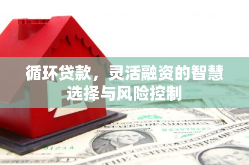 米林循环贷款，灵活融资的智慧选择与风险控制