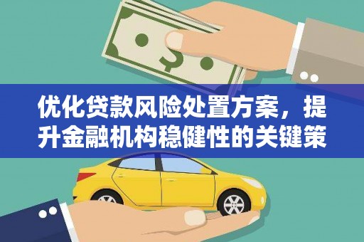 米林优化贷款风险处置方案，提升金融机构稳健性的关键策略