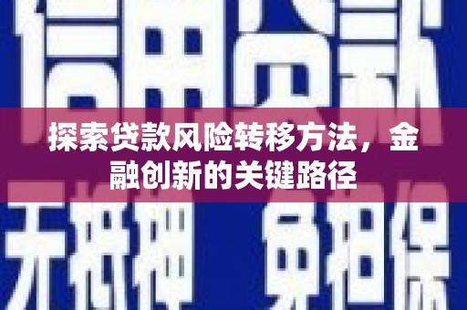 米林探索贷款风险转移方法，金融创新的关键路径
