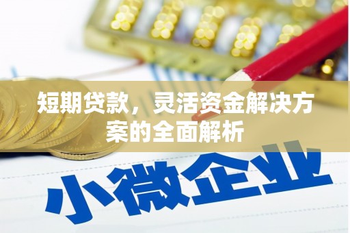 米林短期贷款，灵活资金解决方案的全面解析