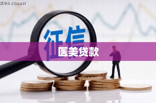 米林医美贷款