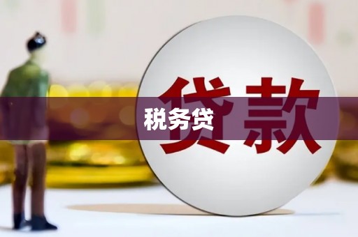 米林税务贷