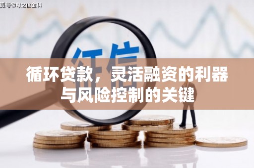 米林循环贷款，灵活融资的利器与风险控制的关键