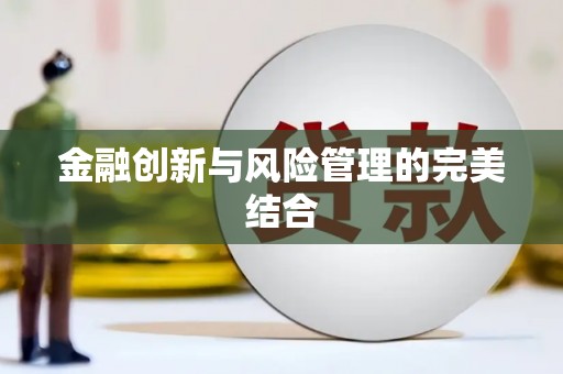 米林金融创新与风险管理的完美结合