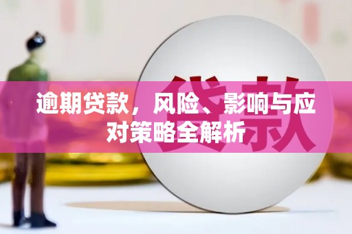 米林逾期贷款，风险、影响与应对策略全解析