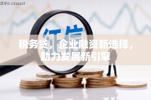 米林税务贷，企业融资新选择，助力发展新引擎
