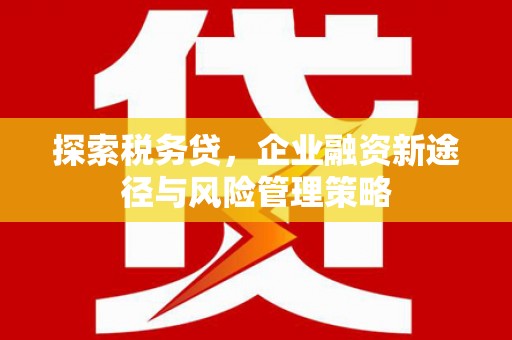 米林探索税务贷，企业融资新途径与风险管理策略