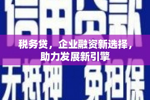 米林税务贷，企业融资新选择，助力发展新引擎
