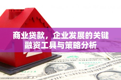 米林商业贷款，企业发展的关键融资工具与策略分析