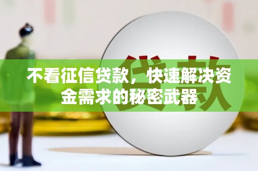 米林不看征信贷款，快速解决资金需求的秘密武器