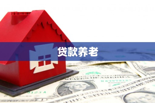 米林贷款养老