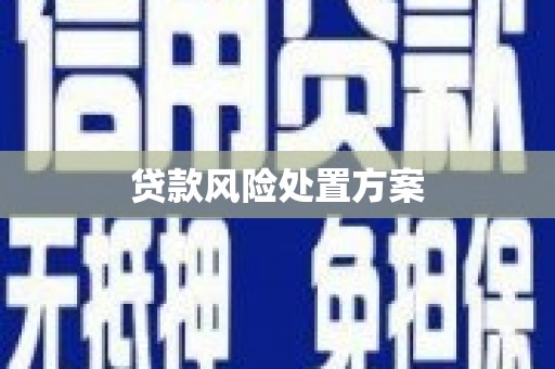 米林贷款风险处置方案