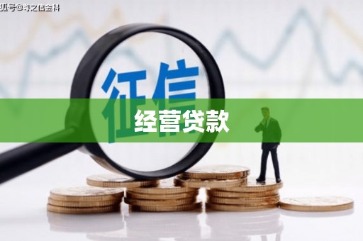 米林经营贷款