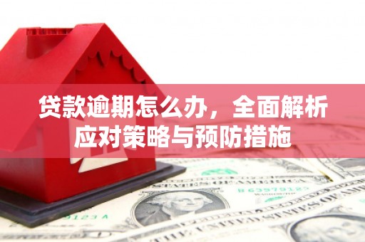 米林贷款逾期怎么办，全面解析应对策略与预防措施