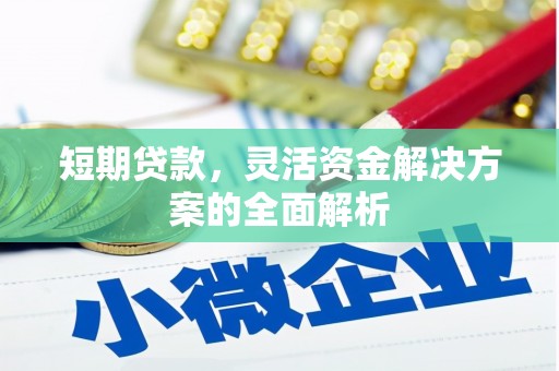 米林短期贷款，灵活资金解决方案的全面解析