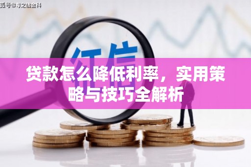 米林贷款怎么降低利率，实用策略与技巧全解析