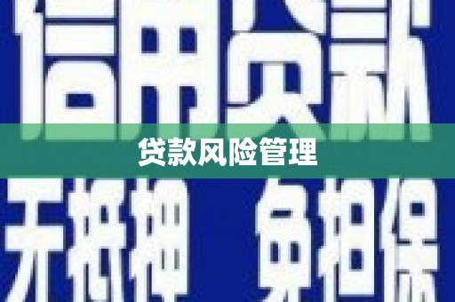 米林贷款风险管理