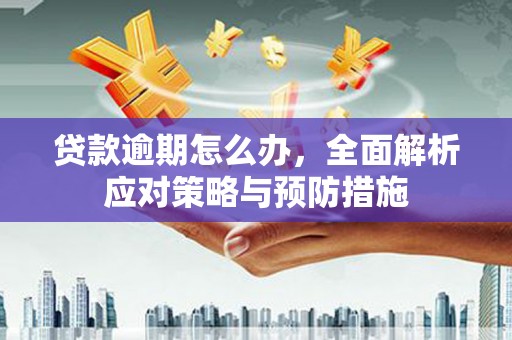 米林贷款逾期怎么办，全面解析应对策略与预防措施