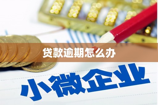 米林贷款逾期怎么办